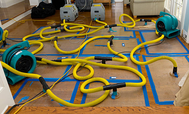 Professional Sewage Cleanup technician working in Newton, IL